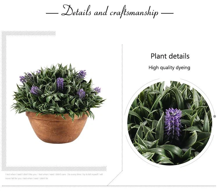 Cây cảnh thân thiện với môi trường Cây cảnh trang trí trong nhà
