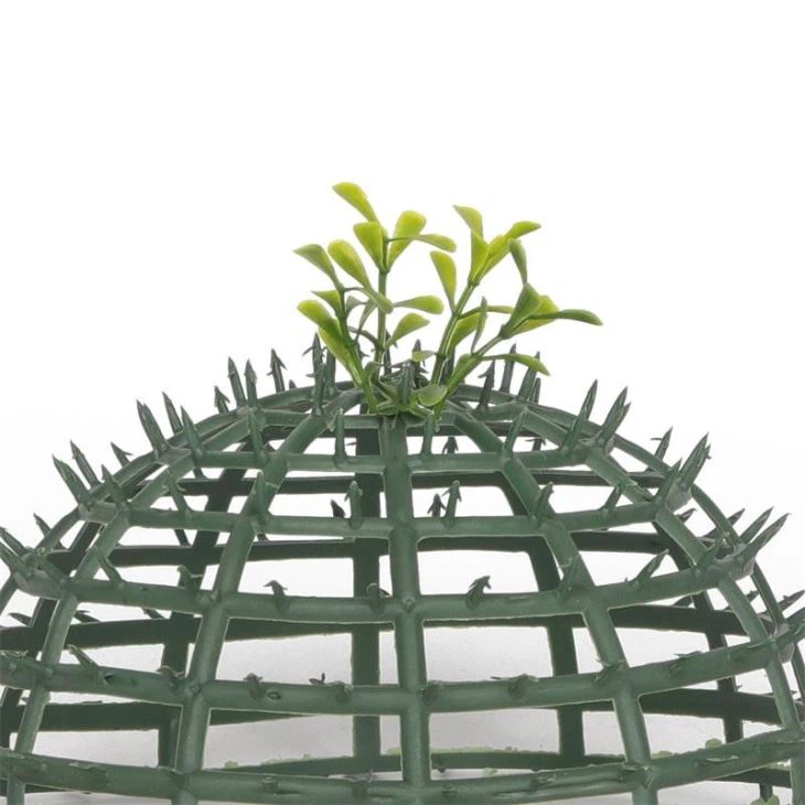 Preserved Boxwood Grass Ball