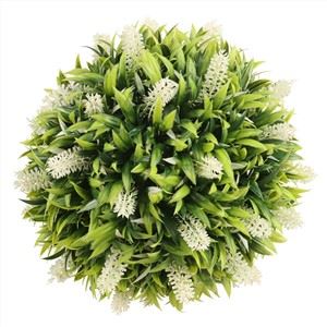 Bóng hoa oải hương đầy màu sắc